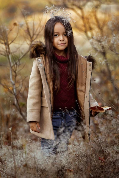 Niña sonriente jugando con hojas caídas de otoño —  Fotos de Stock