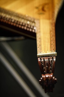 Bandura - Ukrainian musical instrument.