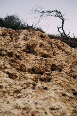 kumsal ve deniz gün batımında