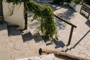 Taş merdiven güneş ışığı