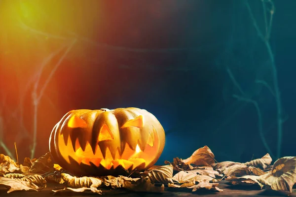 Halloween pumpkins in scary deep night — Stock Photo, Image