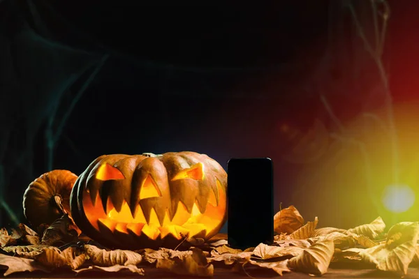 Halloween pumpkins in scary deep night — Stock Photo, Image