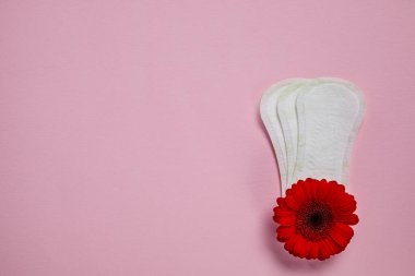 Adet pedleri ve kırmızı çiçek