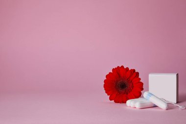 Regl tamponları ve pembe arka planda izole edilmiş kırmızı çiçek, üst manzara. Boşluğu kopyala