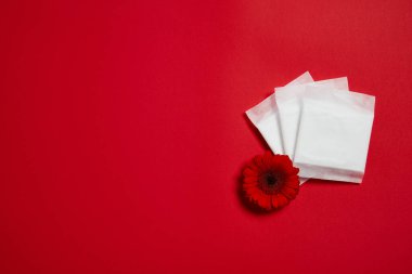 Adet pedleri ve kırmızı çiçek