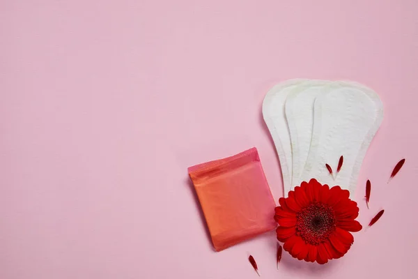 Almofadas menstruais e flor vermelha — Fotografia de Stock