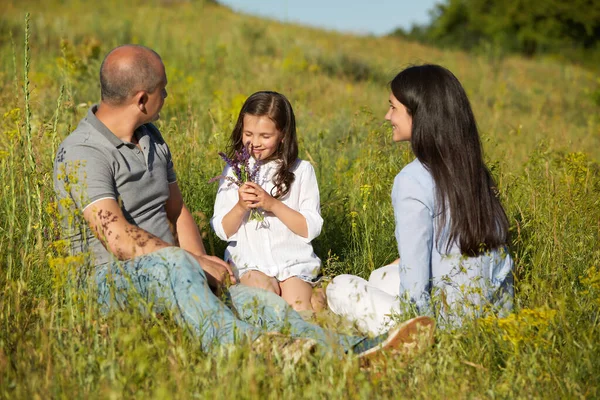 Lycklig familj på en äng i solig dag — Stockfoto