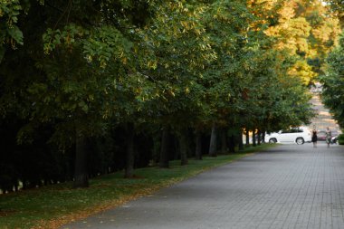 Parktaki yol