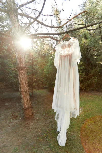 Hochzeitskleid hängt an Baum im Wald — Stockfoto