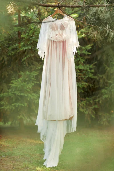 Robe de mariée suspendue à l'arbre dans la forêt — Photo