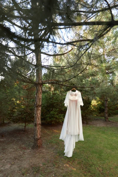 Hochzeitskleid hängt an Baum im Wald — Stockfoto