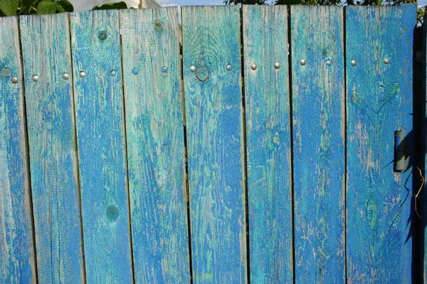フェンス木製青ノットと爪 — ストック写真