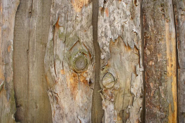 樹皮を持つ板のフェンス — ストック写真