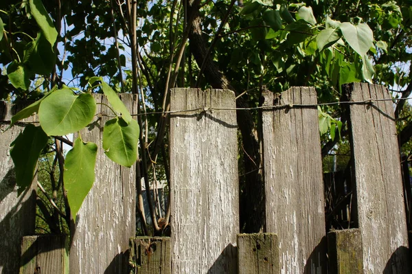 Fence Wooden Wire Nails — Stock Photo, Image