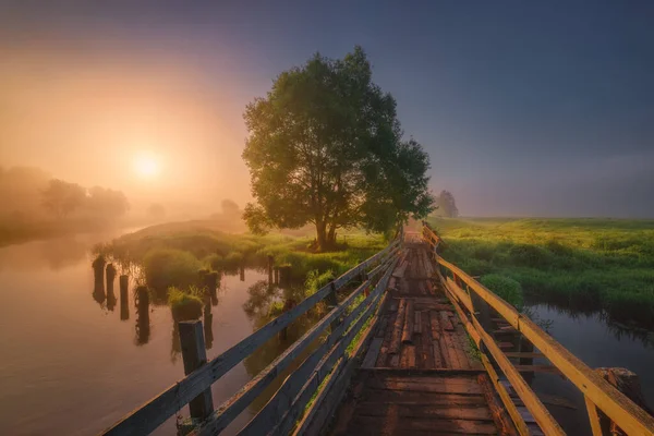 Matin Ensoleillé Été Sur Pont Rivière — Photo