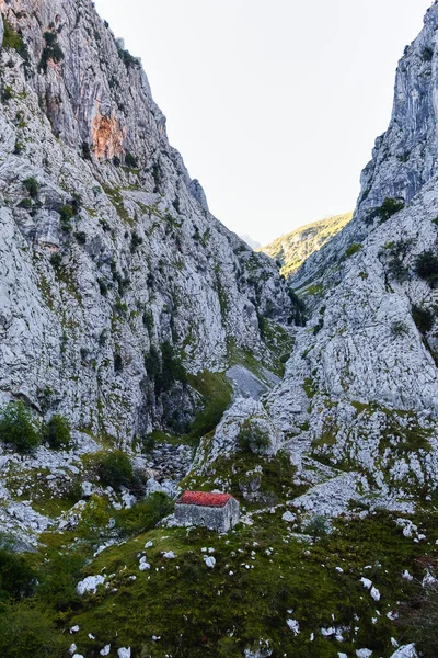 Cares Route Asturias Cares River Passes Picos Europa — Stock Photo, Image