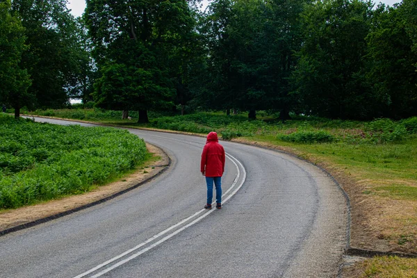 Foto Hombre Joven Atractivo Caminando Medio Una Carretera Naturaleza Richmon —  Fotos de Stock