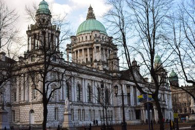 Kışın güneşli bir günde Belfast Belediye Sarayı 'nın fotoğrafı