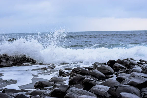 Foto Van Rotsen Het Strand Tijdens Winter Giants Causeway Belfast — Stockfoto