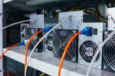 ASIC madencileri bir rafta duruyor ve elektriğe bağlılar.