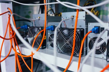 ASIC madencileri bir rafta duruyor ve elektriğe bağlılar.