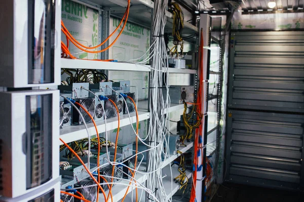 ASIC madencileri bir rafta duruyor ve elektriğe bağlılar.