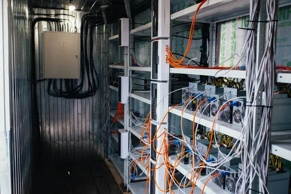 ASIC madencileri bir rafta duruyor ve elektriğe bağlılar.