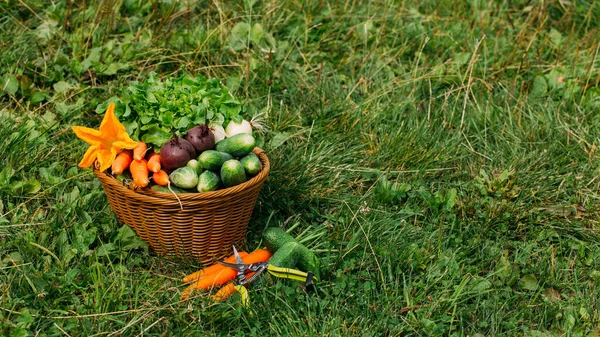 Yeşil çimlerin üzerinde bir sepet sebze duruyor. Pankart