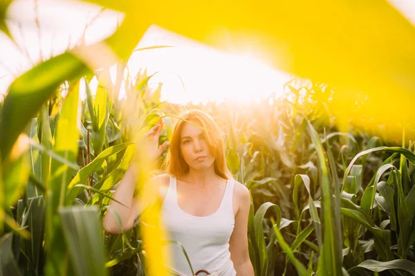 Sakin kızıl saçlı kız mısır tarlasında