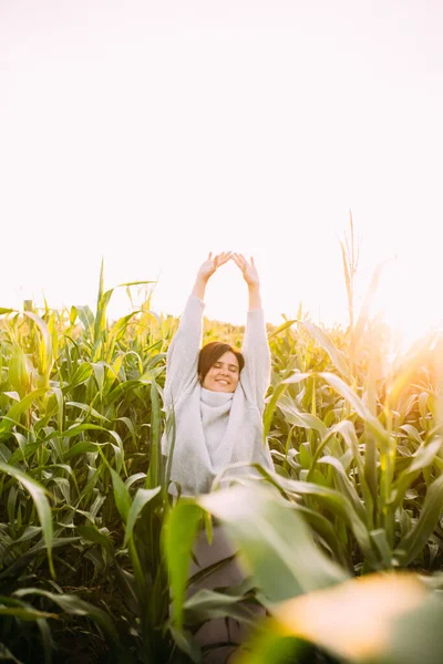 Bir kız mısır tarlasında geriniyor.