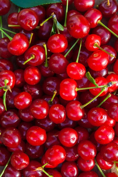 Garden Cherry Berries Food Background Royalty Free Stock Images