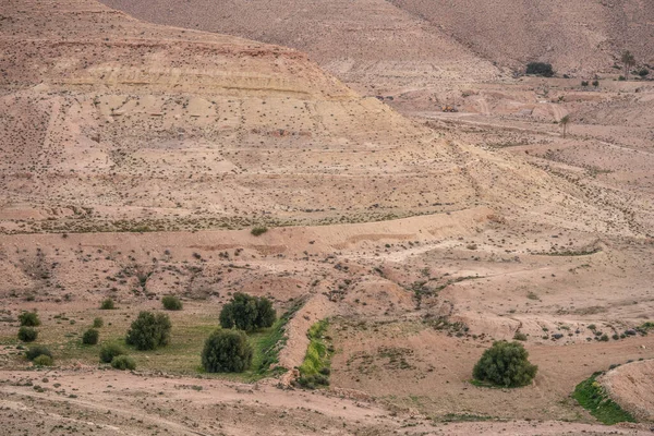 杜尼西亚 切尼尼 榴弹炮 Germassa的Djebel Dahar — 图库照片