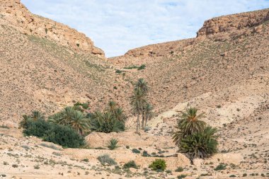 Tunisia 'daki djebel dahar, Chenini, douiret, germasa