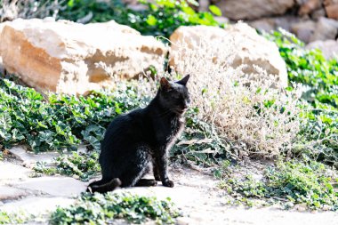 Tunisia 'daki djebel dahar, Chenini, douiret, germasa