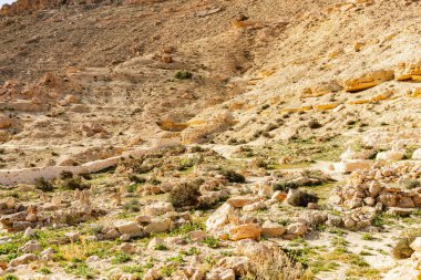 Tunus 'taki 7 uykucunun camisi.