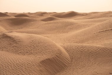 Sahra Çölü 'ndeki güzel kum tepeleri. Tunus, Douz yakınlarında.