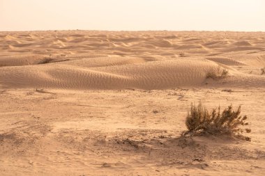 Sahra Çölü 'ndeki güzel kum tepeleri. Tunus, Douz yakınlarında.