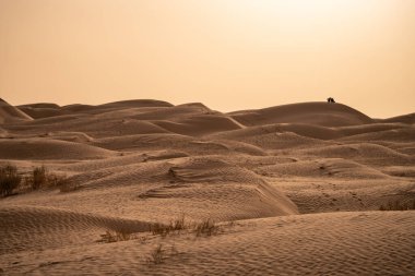 Sahra Çölü 'ndeki güzel kum tepeleri. Tunus, Douz yakınlarında.