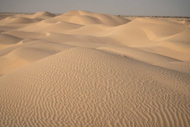 Sahra Çölü 'ndeki güzel kum tepeleri. Tunus, Douz yakınlarında.