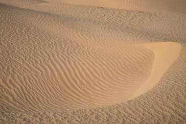 Sahra Çölü 'ndeki güzel kum tepeleri. Tunus, Douz yakınlarında.
