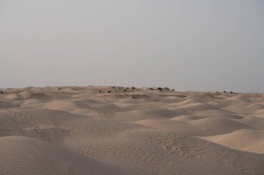 Sahra Çölü 'ndeki güzel kum tepeleri. Tunus, Douz yakınlarında.