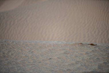 Sahra Çölü 'ndeki güzel kum tepeleri. Tunus, Douz yakınlarında.