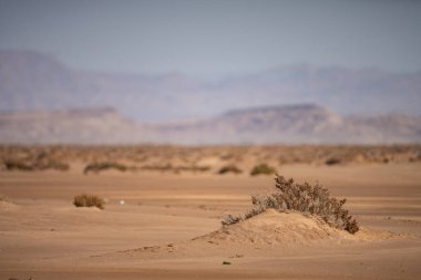 Tunus 'taki tuz gölü çölünün bir parçası, chott el jerid