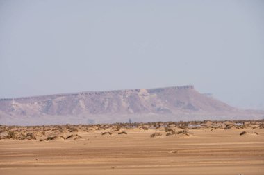 Tunus 'taki tuz gölü çölünün bir parçası, chott el jerid