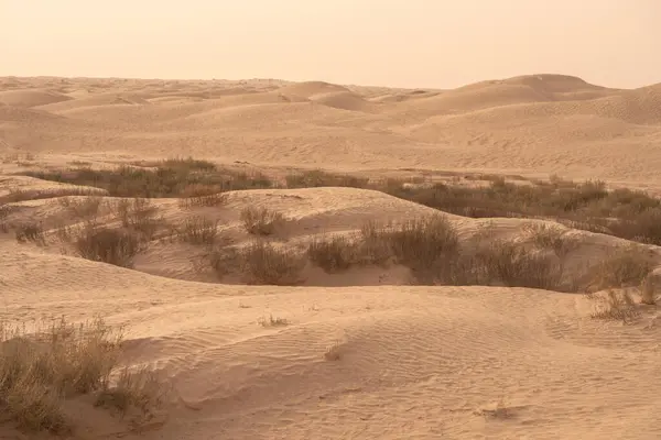 Hermosas Dunas Arena Desierto Del Sahara Cerca Douz Túnez —  Fotos de Stock