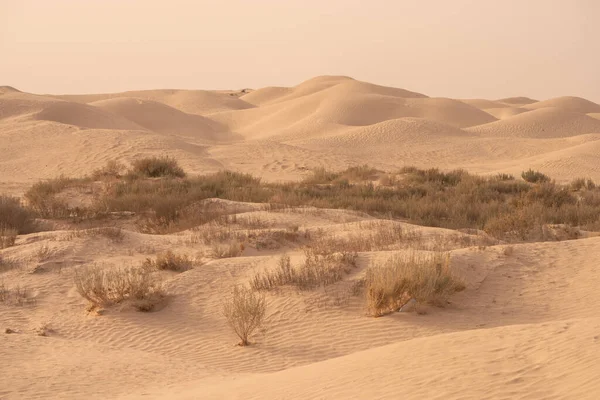 Gyönyörű Homokdűnék Szahara Sivatagban Douz Közelében Tunéziában — Stock Fotó