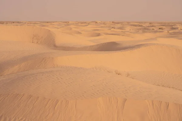 Schöne Sanddünen Der Sahara Bei Douz Tunesien — Stockfoto