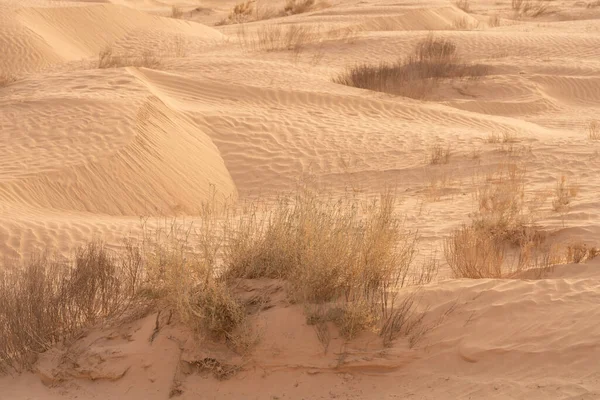 Beautiful Sand Dunes Sahara Desert Douz Tunisia — Stock Photo, Image