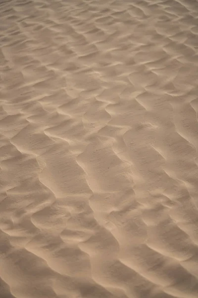 サハラ砂漠の美しい砂丘 チュニジアのドゥズ付近 — ストック写真