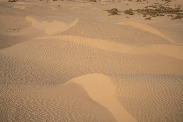 撒哈拉沙漠中美丽的沙丘 突尼斯Douz附近 — 图库照片